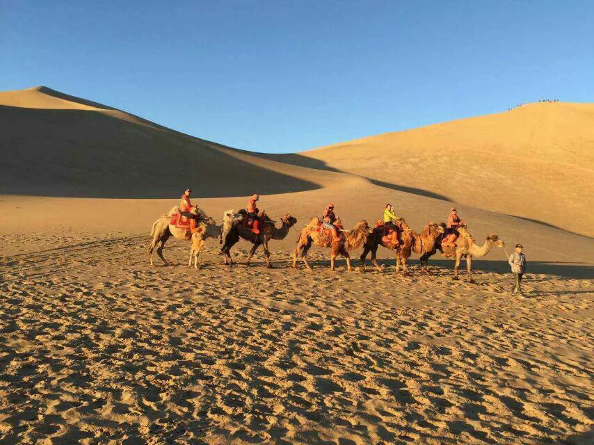 Staying power: EMBA students excel in gruelling Gobi Challenge