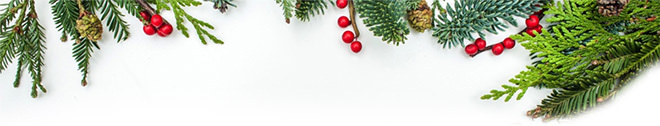 Season’s Greetings from the Dean