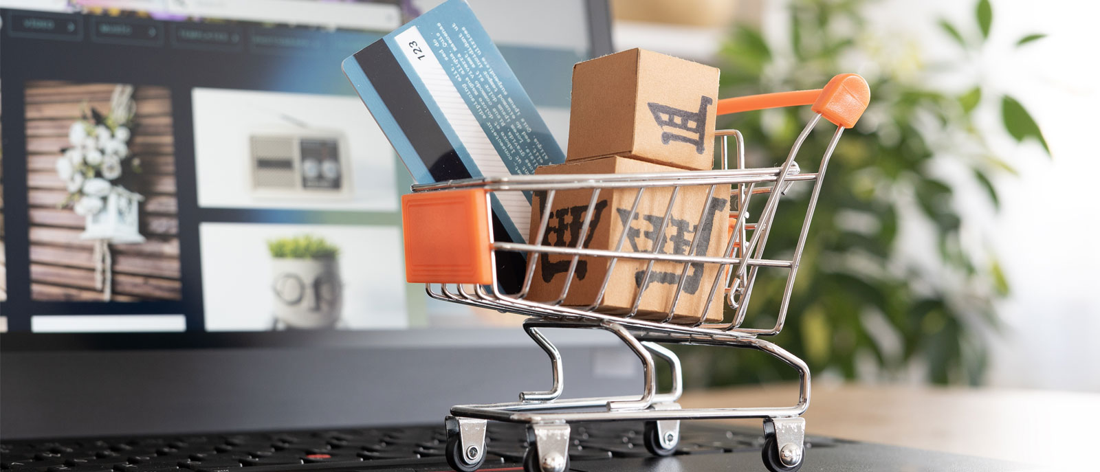 Consumer Inter-Product Showrooming and Information Service Provision in an Omni-Channel Supply Chain